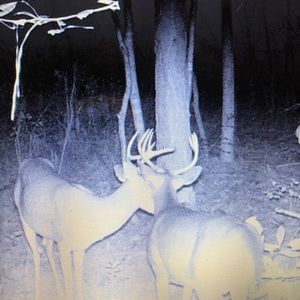 Meet your Posher, Bradley